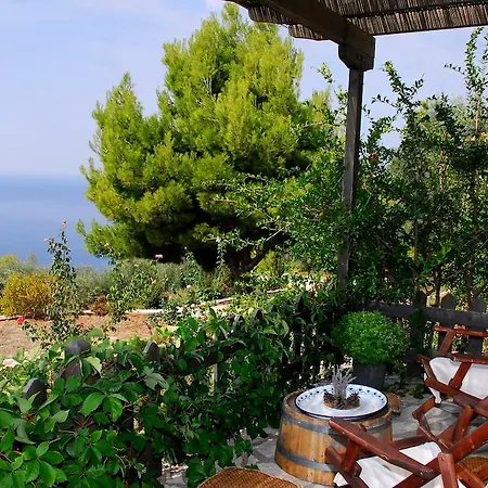 Anerada Mediterranean Houses